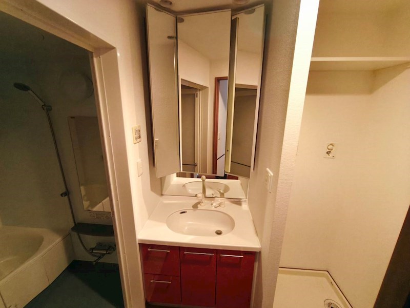 ロイヤルパークス新田 その他2