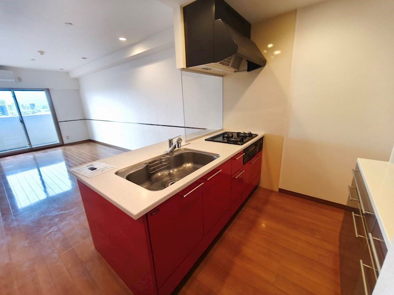 ロイヤルパークス新田 その他9