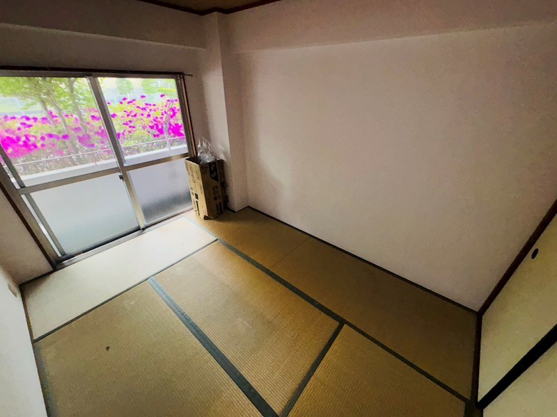 ニューオーク その他40