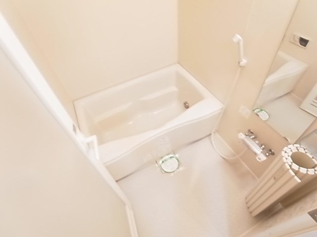 ザ・グランド・アルビオン 風呂画像