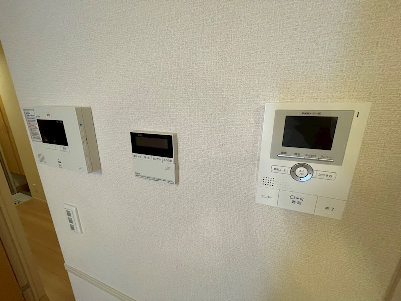 ステラＣ その他4