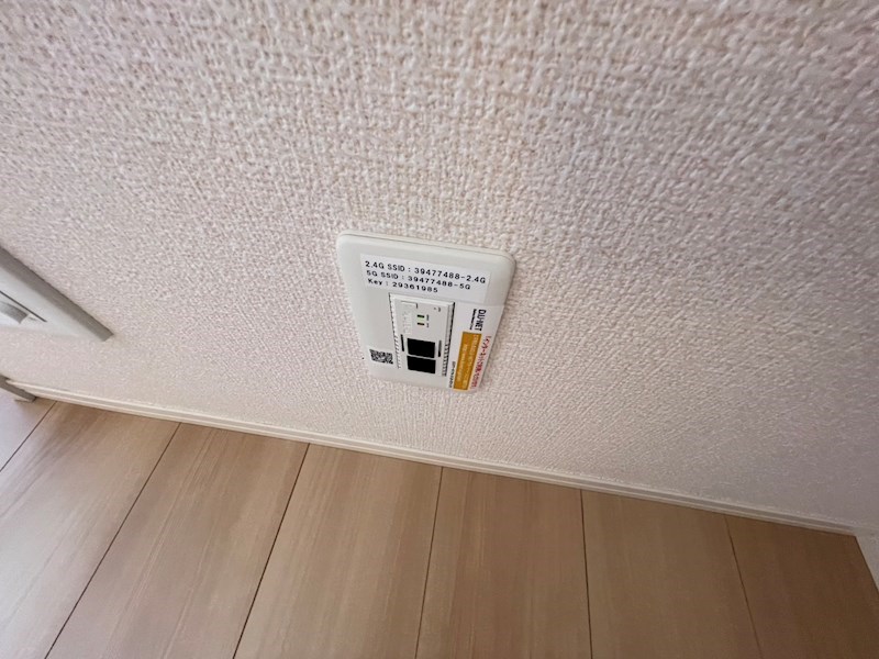 ステラＣ その他24