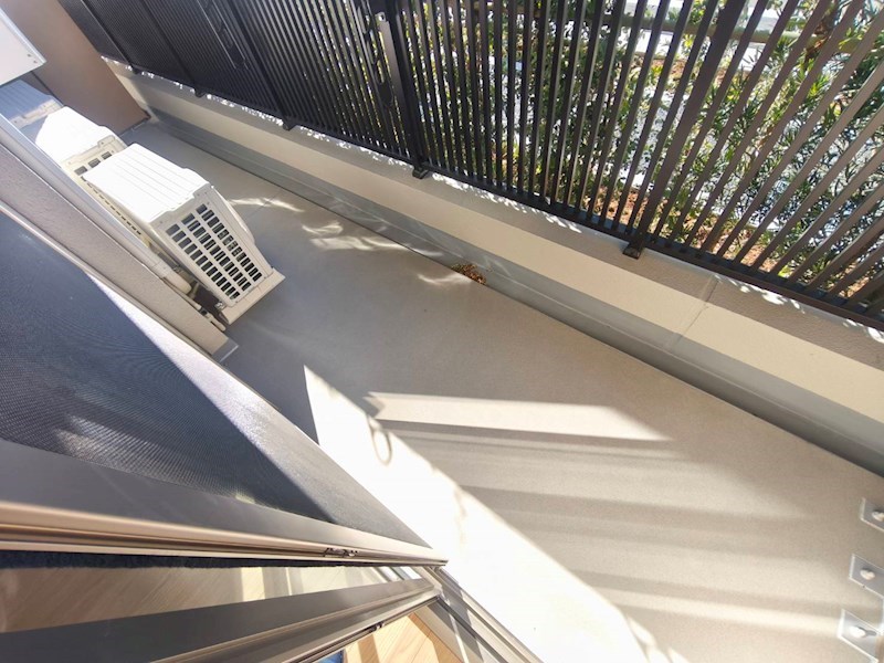 ロイジェント西新井 ベランダ