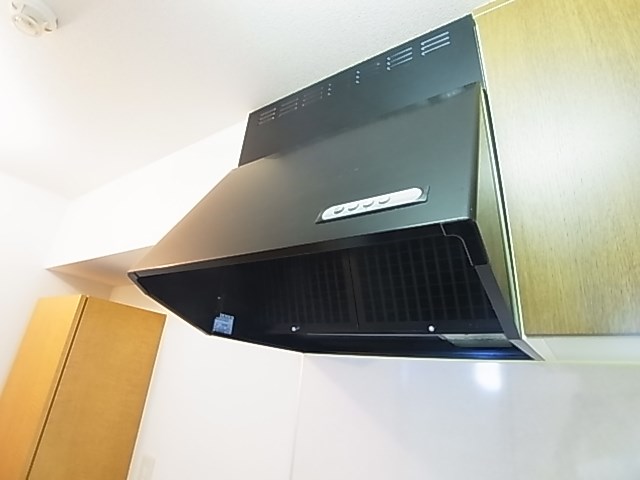 デュナミス３  その他11