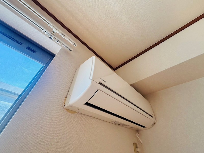 サンシスト  その他4