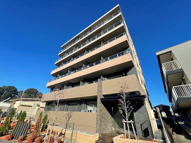 ラピスラズリ 外観