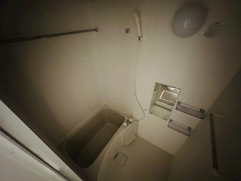 エオリア扇 その他11