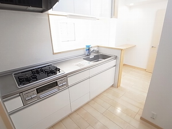 グランツ柏の葉 キッチン