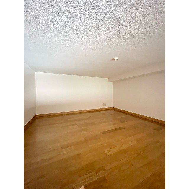 COLONNA MILIARE その他7