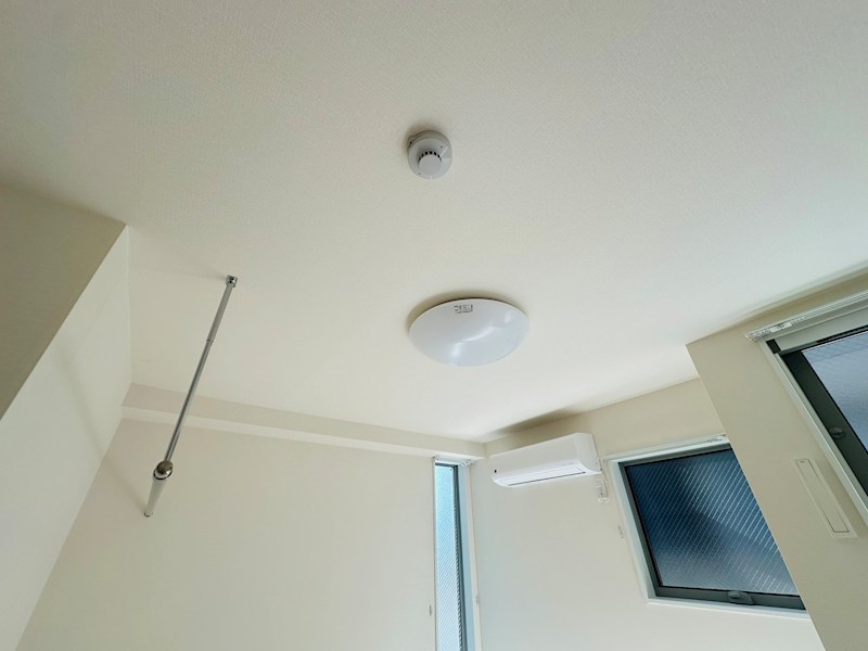 エオリア扇 その他15