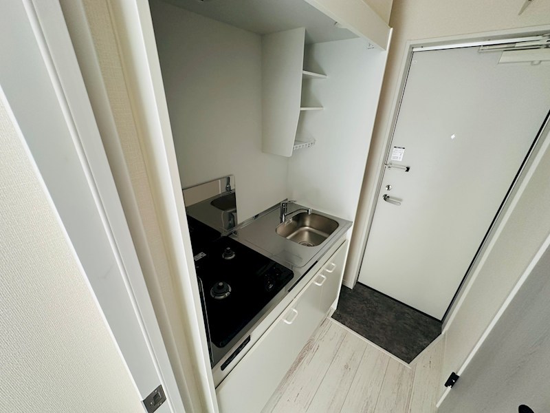 エオリア扇 その他21