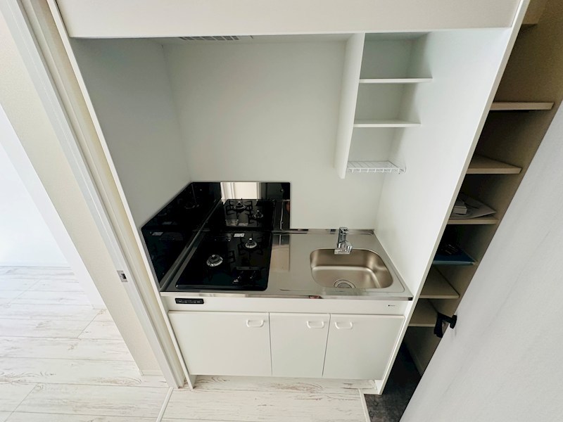 エオリア扇 その他22