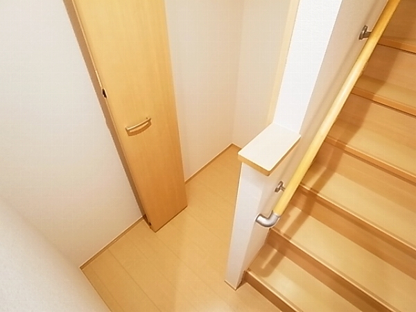 フォリウム　Ｍ その他11