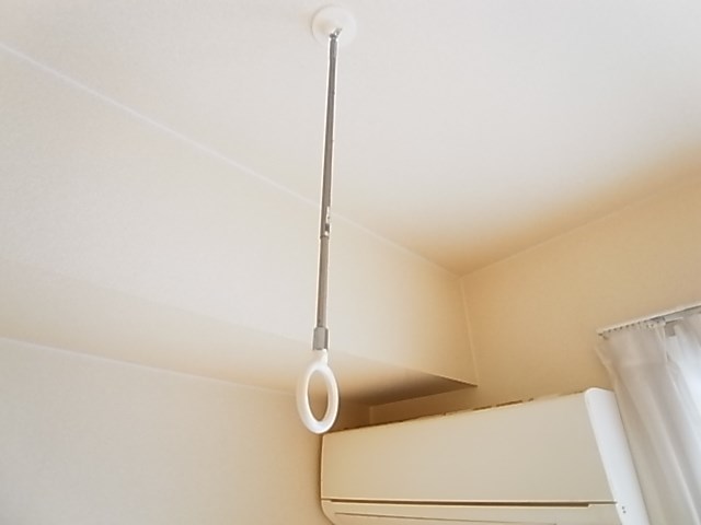 ｐａｒｋ　ｗｉｓｔｅｒｉａ その他7