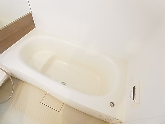 ｐａｒｋ　ｗｉｓｔｅｒｉａ その他14