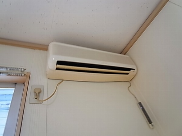 パインステージ その他5