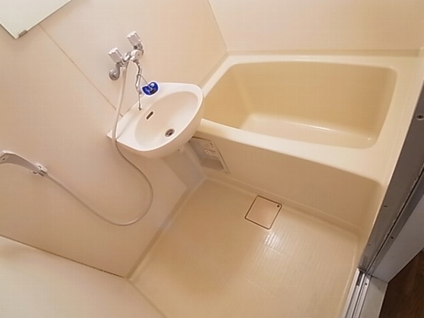 パインステージ 風呂画像