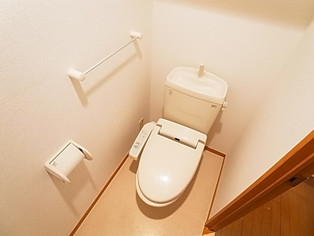 コーラル　ブルー その他1