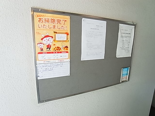 コーラル　ブルー その他外観6