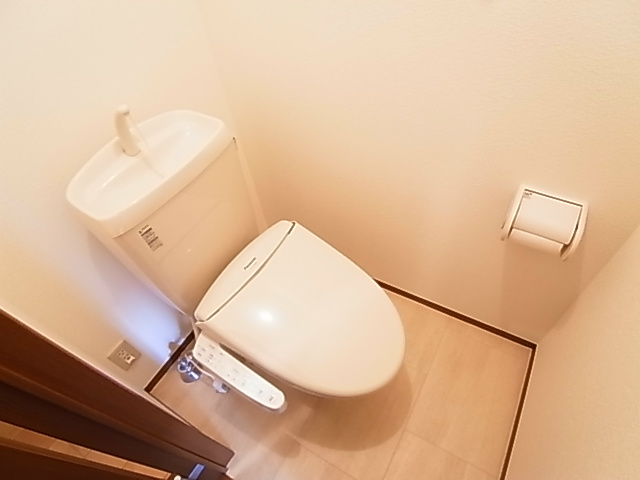 ウェルス その他1