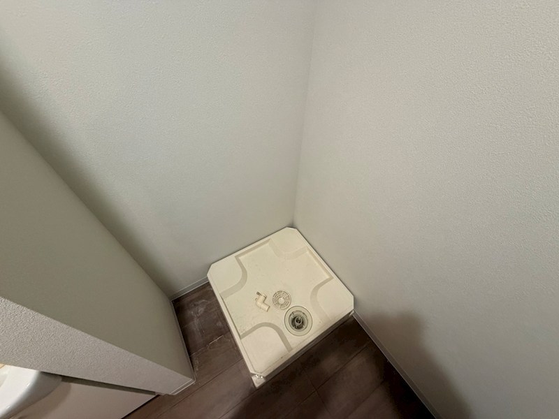 My Style vintage 柏あけぼの その他23