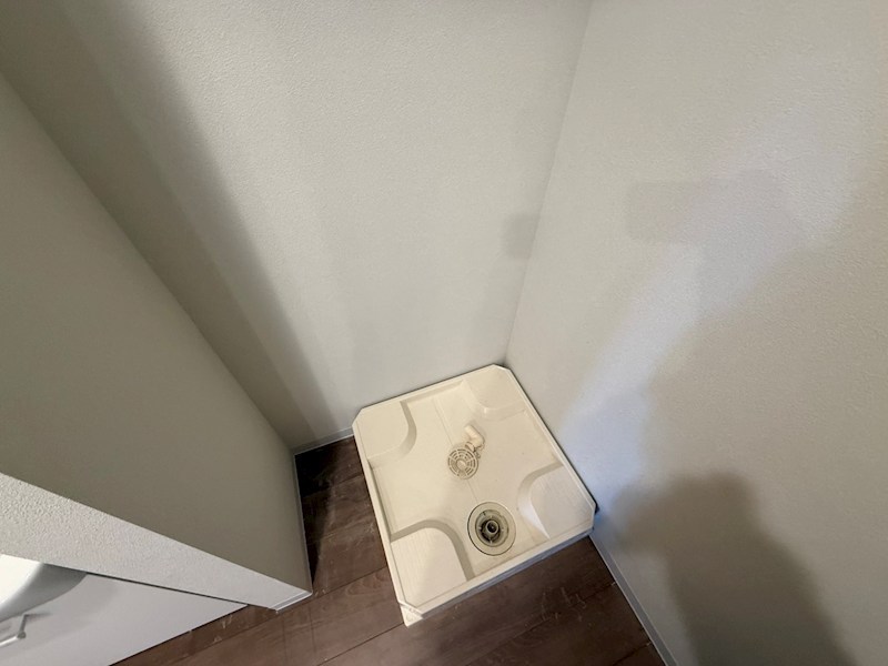 My Style vintage 柏あけぼの その他8