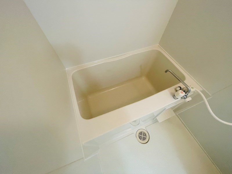 ニューカリーノ その他12