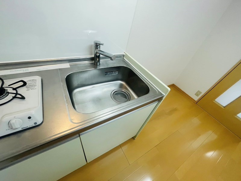 ニューカリーノ その他14