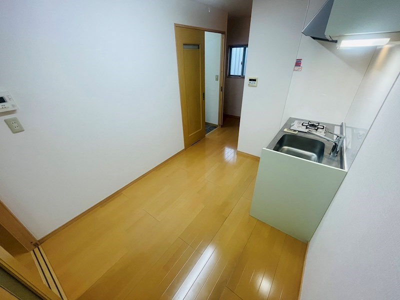 ニューカリーノ その他16