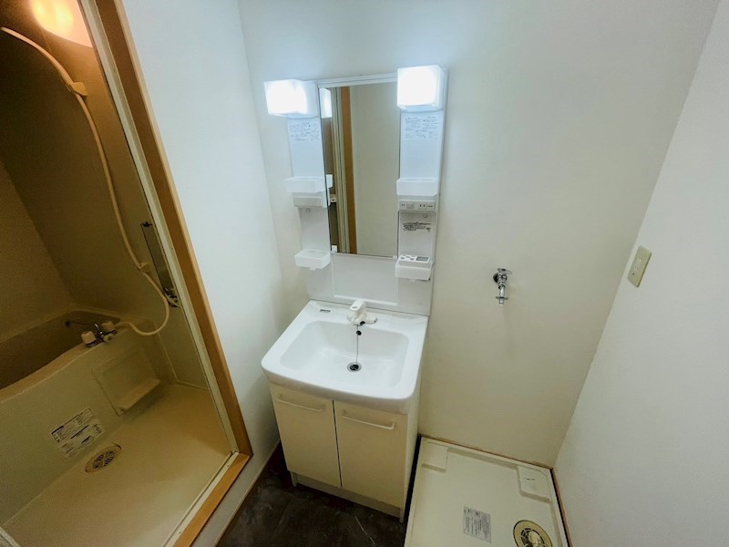 ニューカリーノ その他11