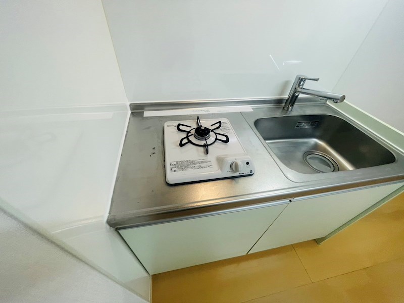 ニューカリーノ その他13