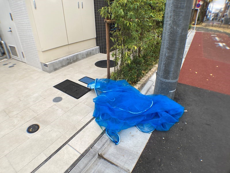 エストゥルース亀有 その他外観2