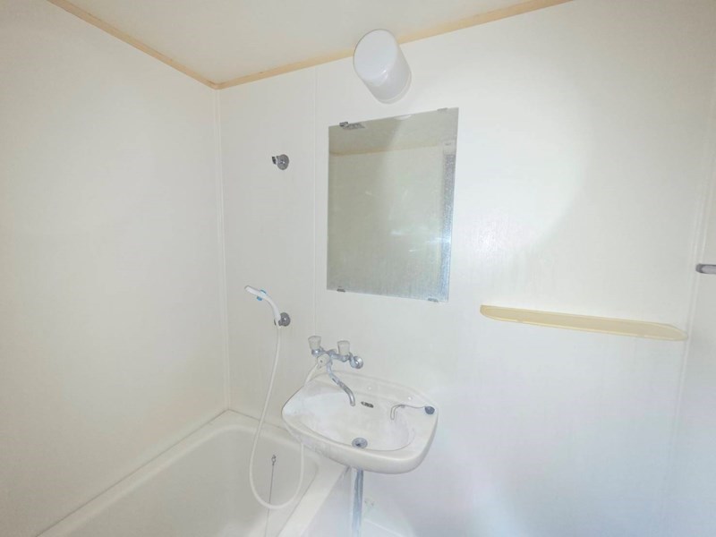 秋桜林 その他2