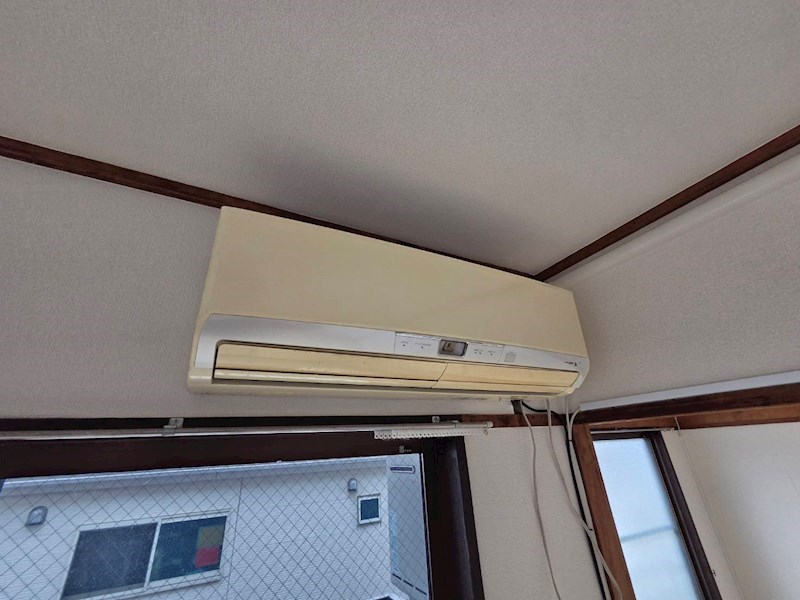 秋桜林 その他4