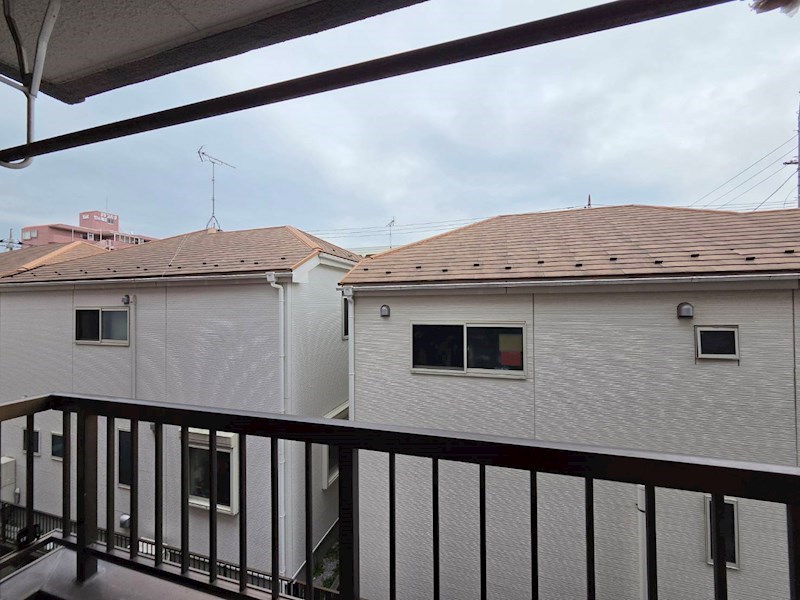 秋桜林 その他5