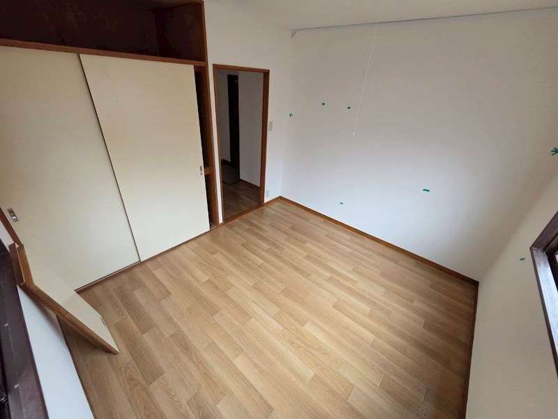 秋桜林 その他7