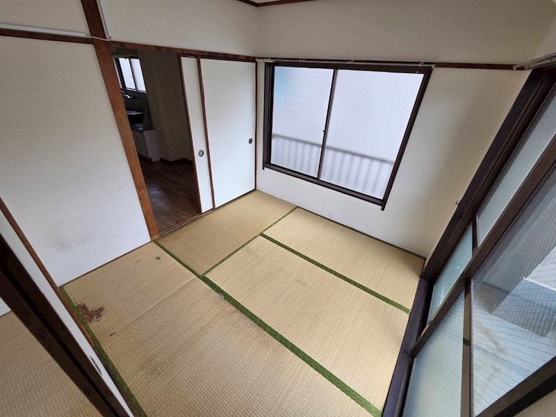 秋桜林 その他10