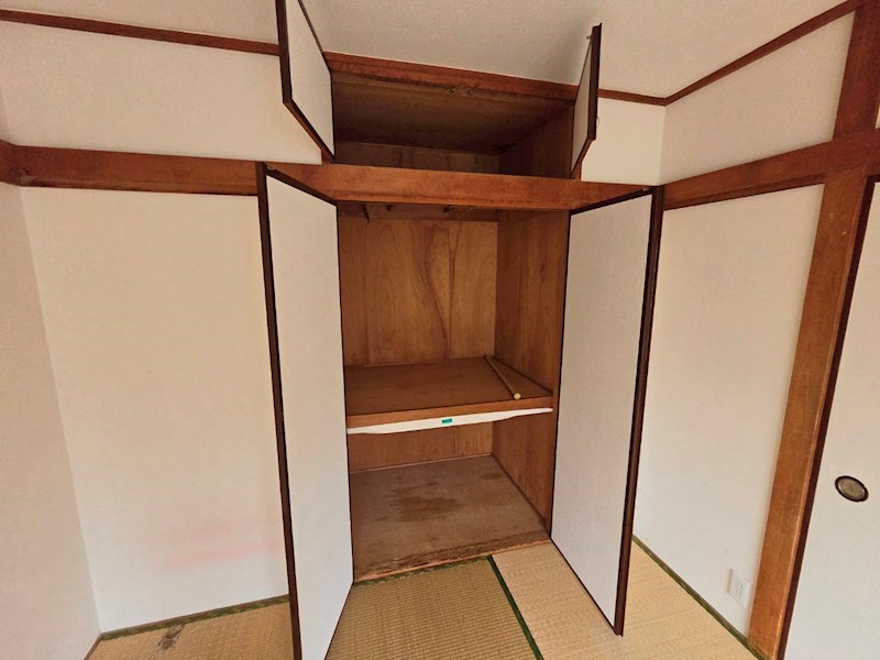 秋桜林 その他15