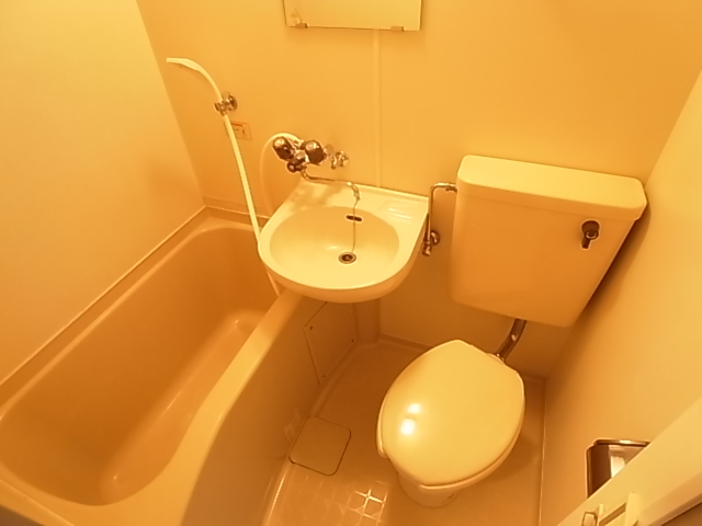 ジュネパレス松戸第94 その他1