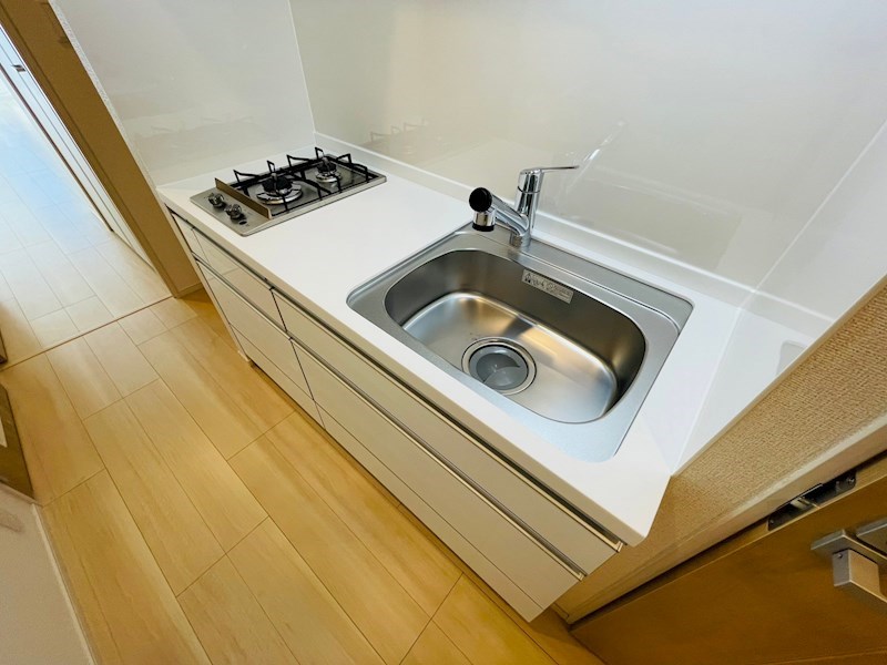 スアヴィス舎人 その他15