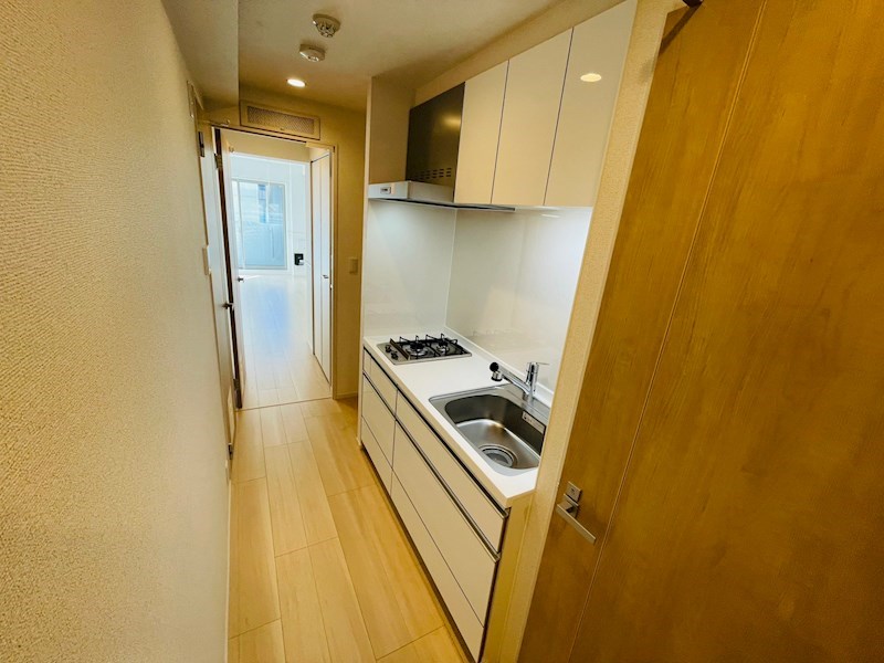 スアヴィス舎人 その他16