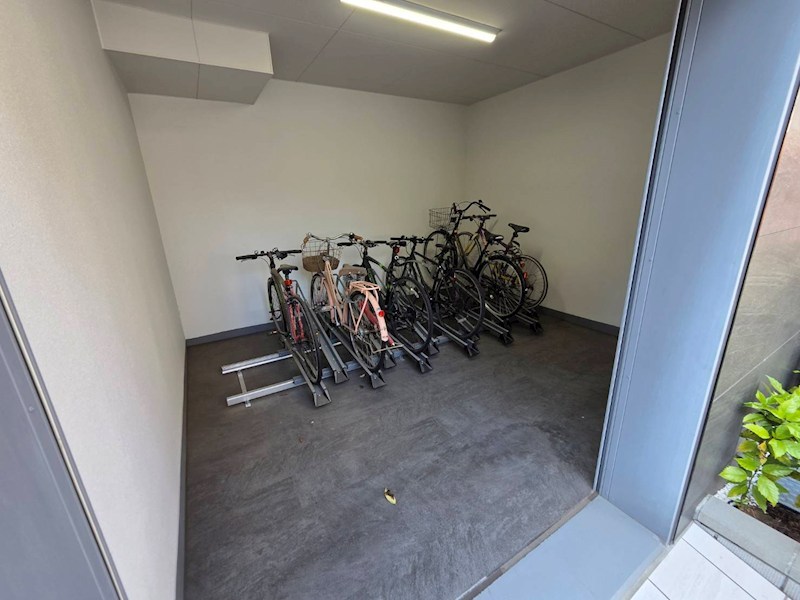 ブルーセブン その他外観3