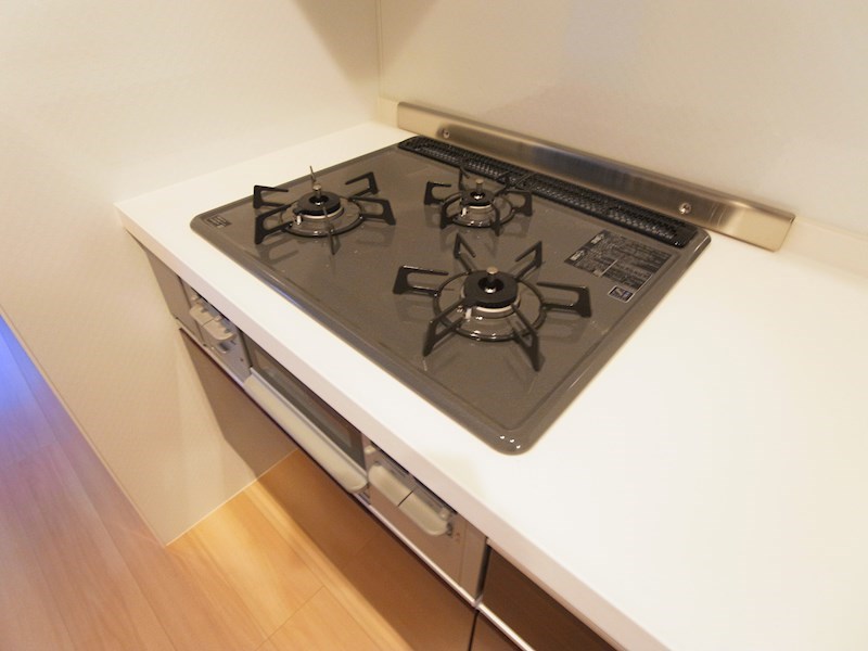 BLESS HOUSE柏西町　Ｄ棟 その他12