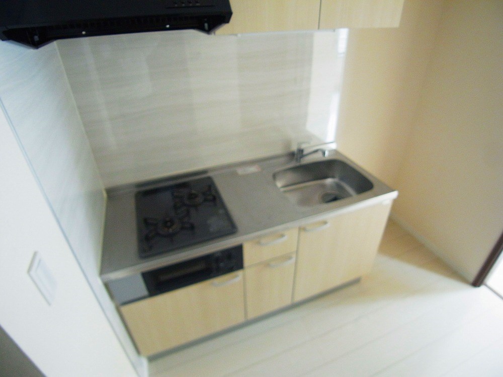 Ｅｘｃｅｌｓｉｓ（エクセルシス） その他14