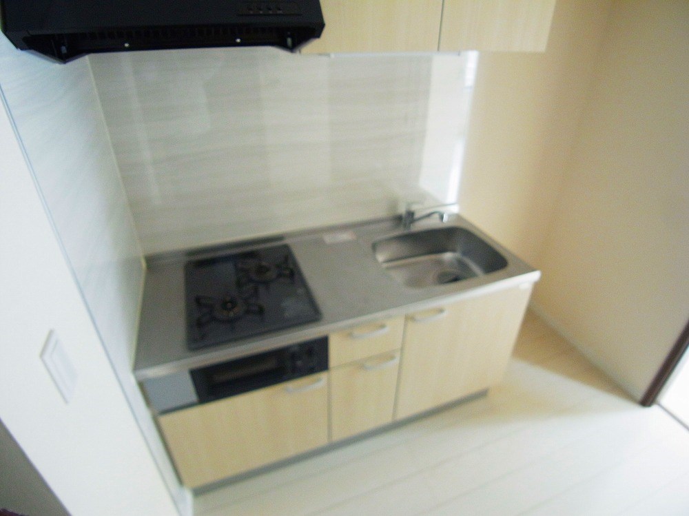 Ｅｘｃｅｌｓｉｓ（エクセルシス） その他15