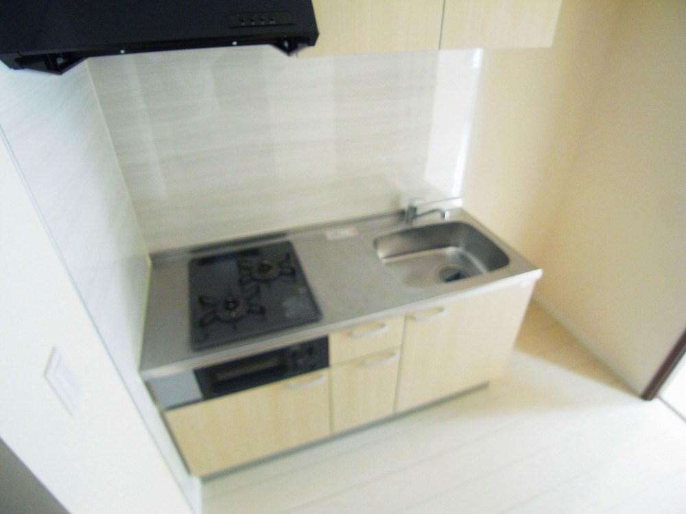 Ｅｘｃｅｌｓｉｓ（エクセルシス） その他20