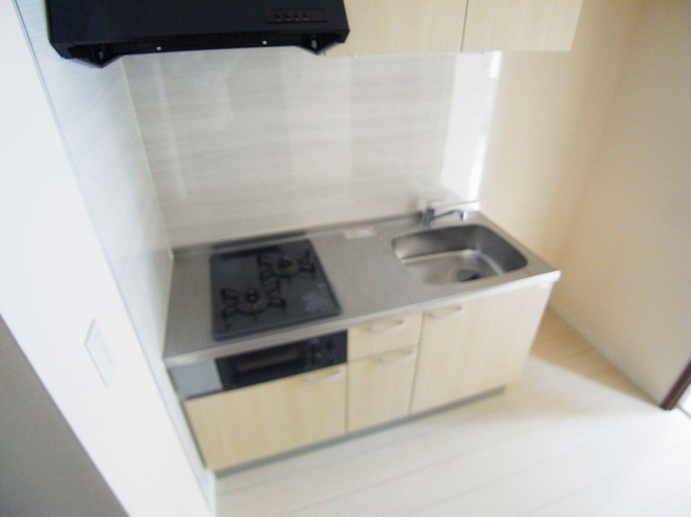 Ｅｘｃｅｌｓｉｓ（エクセルシス） その他21