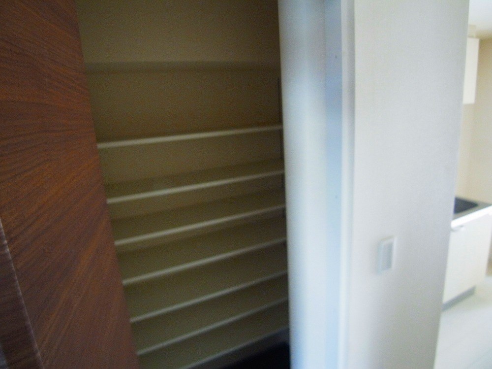 Ｅｘｃｅｌｓｉｓ（エクセルシス） その他12