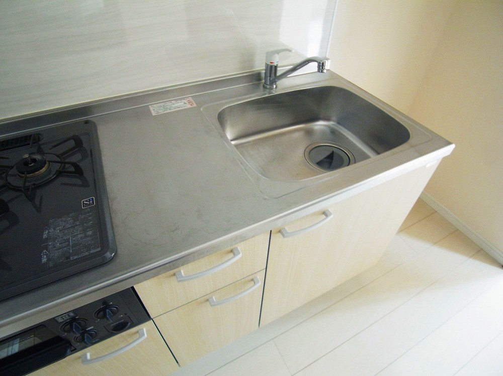 Ｅｘｃｅｌｓｉｓ（エクセルシス） その他18