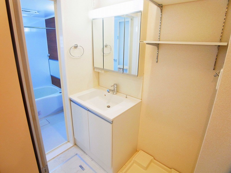 アルタイル その他2